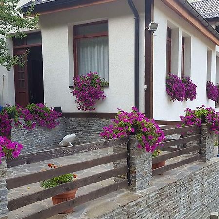 Villa Ana Marija Duracka Reka Екстериор снимка